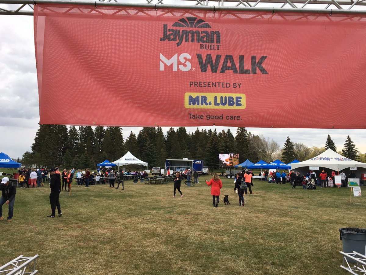 2019 annual MS Walk held at Henderson Lake in Lethbridge. 