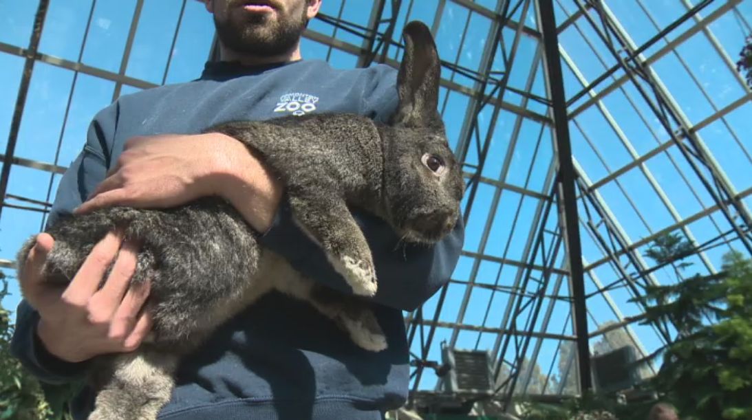 Edmonton's Muttart Conservatory hosts its annual Easter event, Sunday, April 21, 2019.