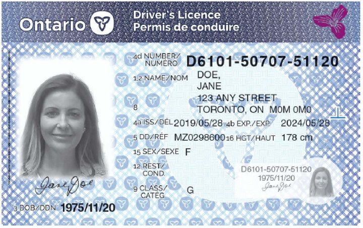 different types of licenses in ontario