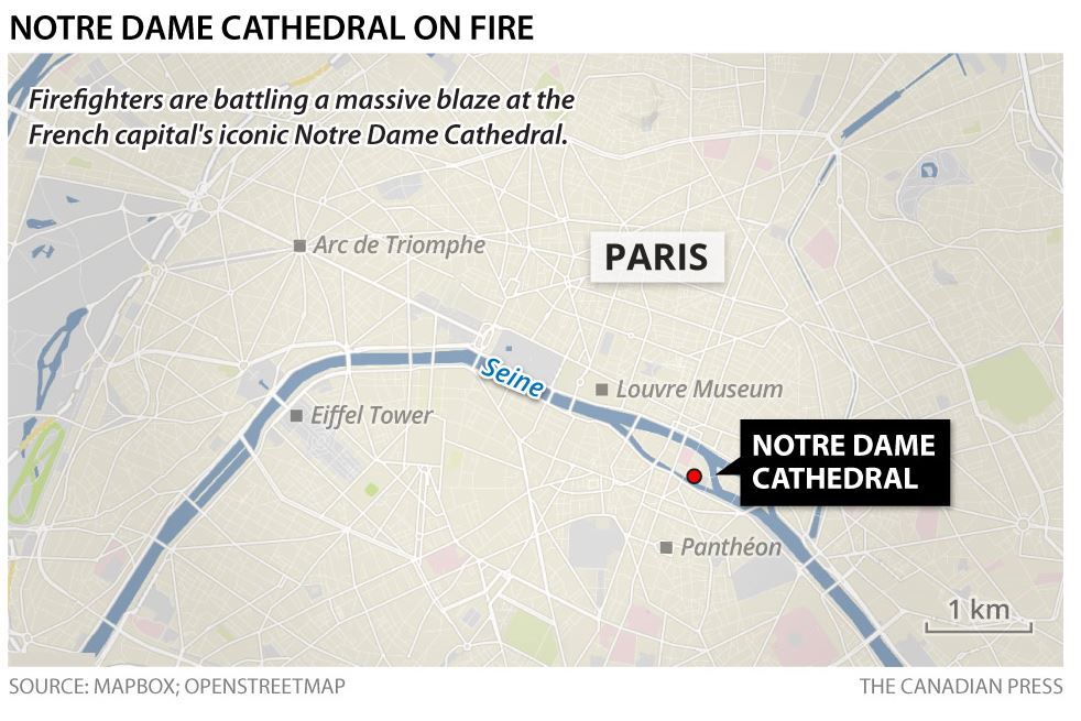 Notre Dame Cathedral fire: Historian explains why the Paris icon means so much to the world - image
