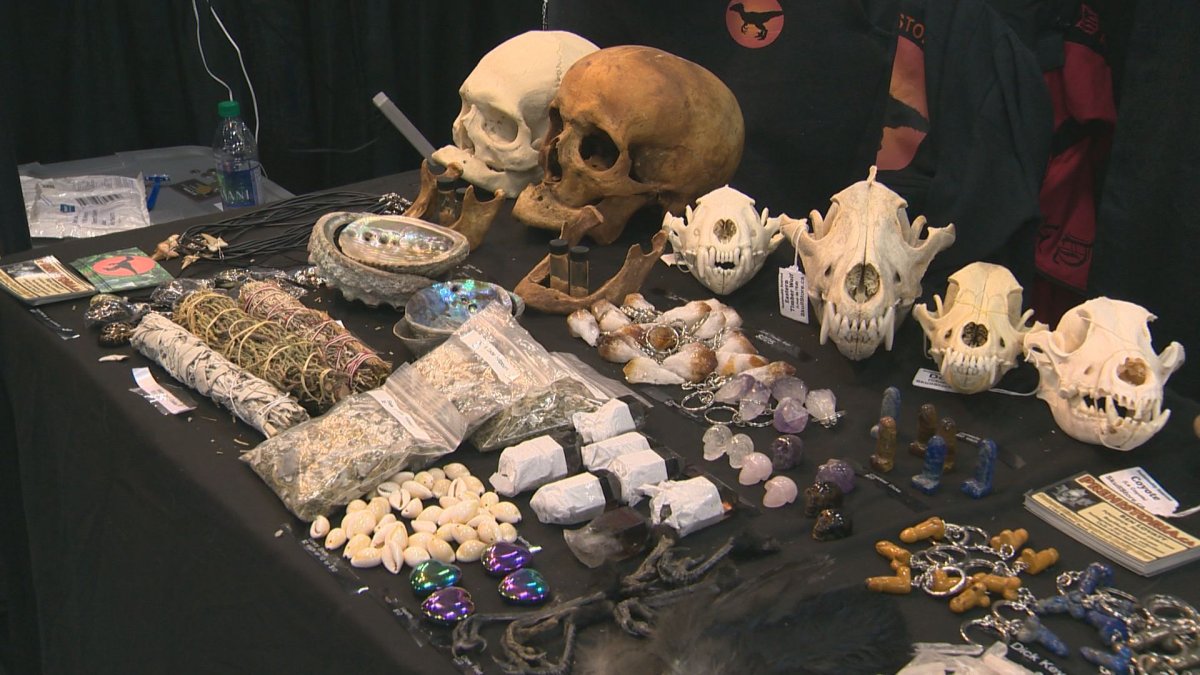 The Skull Store's display at the Edmonton Tattoo and Arts Festival on April 27, 2019.