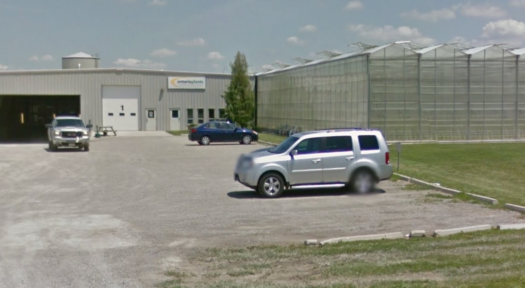 Ontario Plants Propagation Limited at 38024 John Wise Line. 