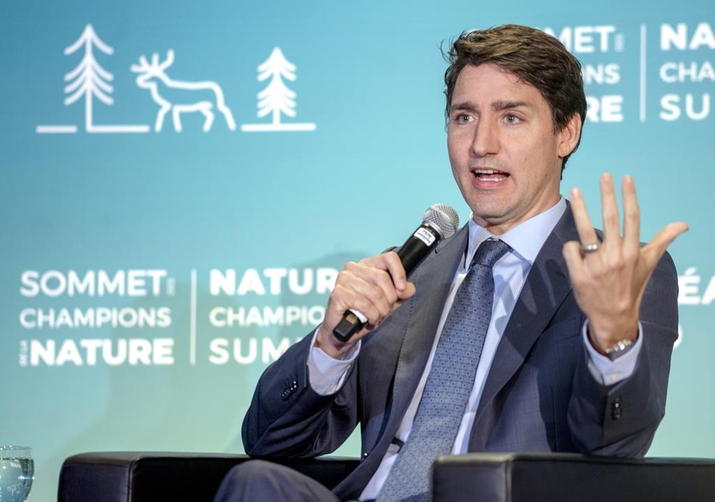 Trudeau Calls Ford Government’s Attempt To Block Carbon Tax ...