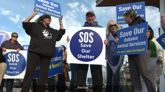 Residents, advocates rally at city hall to keep Oshawa Animal Services open - image