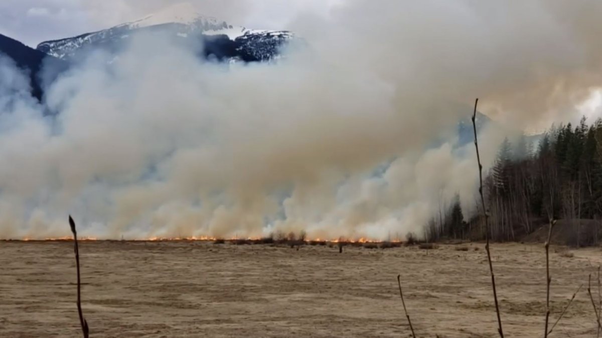 Photographer Sarah Mickel captured this image of a grass fire near Revelstoke on Tuesday. 