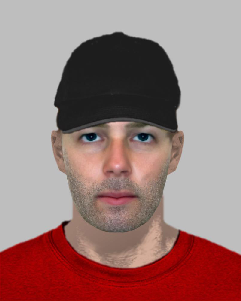 Hamilton police say this composite photo is of a man wanted in connection with an investigation into an alleged sexual assault on the Bruce Trail. 