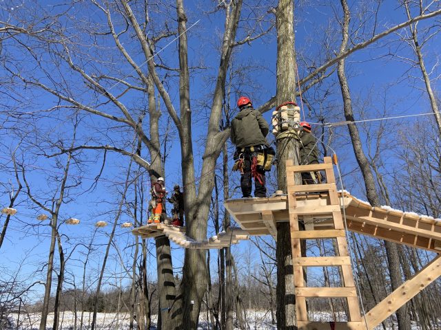Treetop Trekking is building five courses at its new aerial adventure park at the Binbrook Conservation Area.