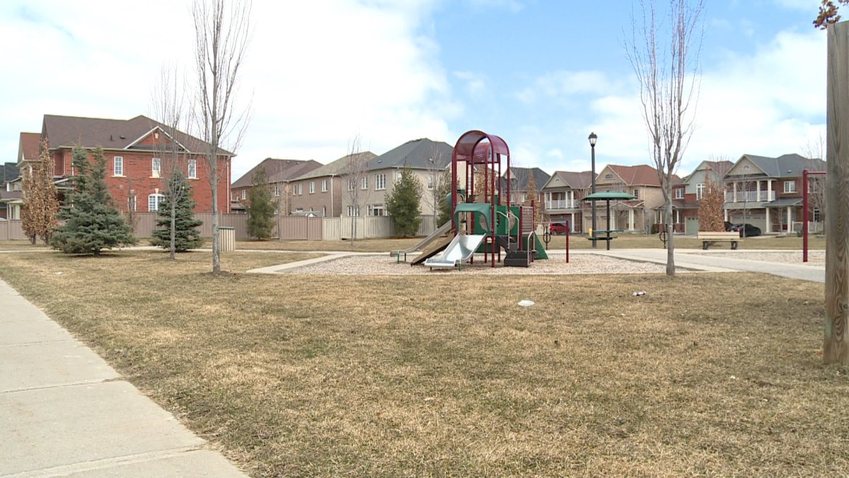 A 71-year-old woman was allegedly attacked by a dog Tuesday morning at a park on Gamble Drive in Ajax.