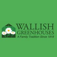 On Location: Wallish Greenhouses - image