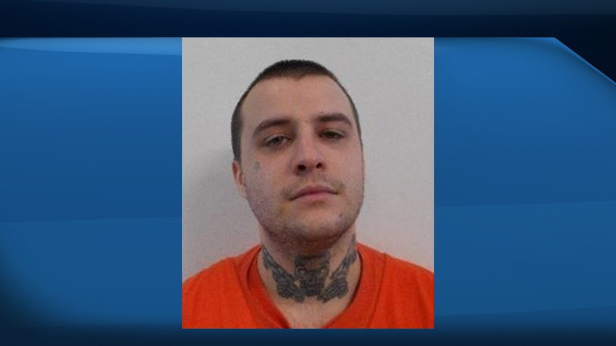Fern Joyal, a 25-year-old federal offender is wanted for his breach of statutory release.