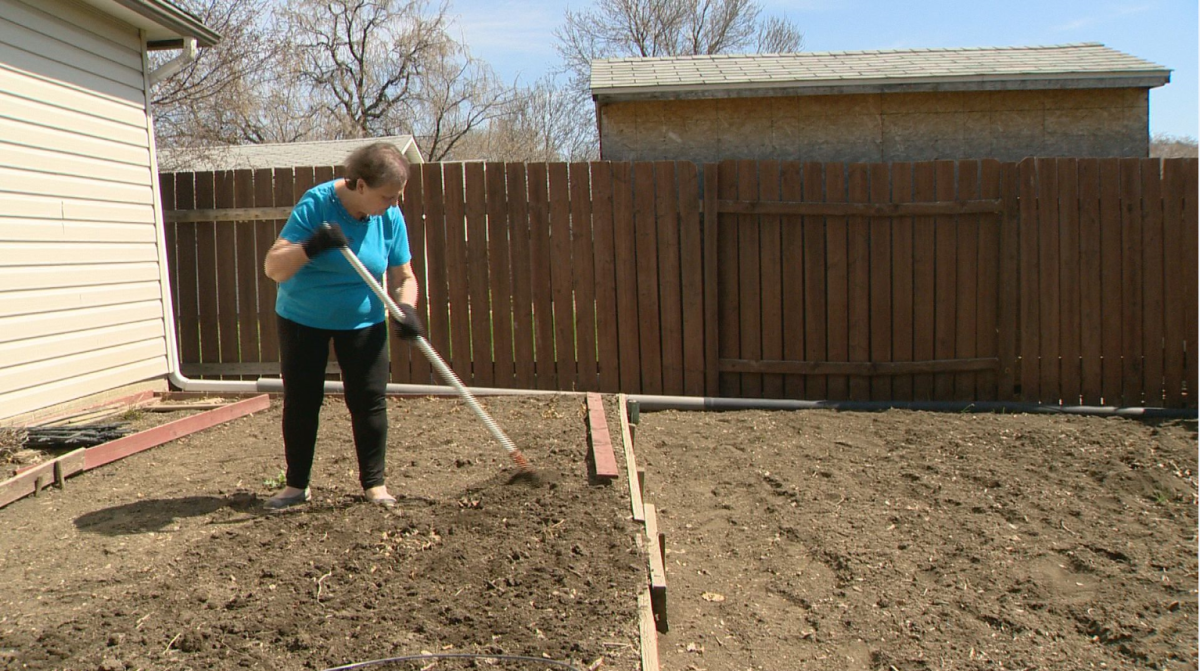 Cecilia Di Antonio is getting her soil ready for garden season.
