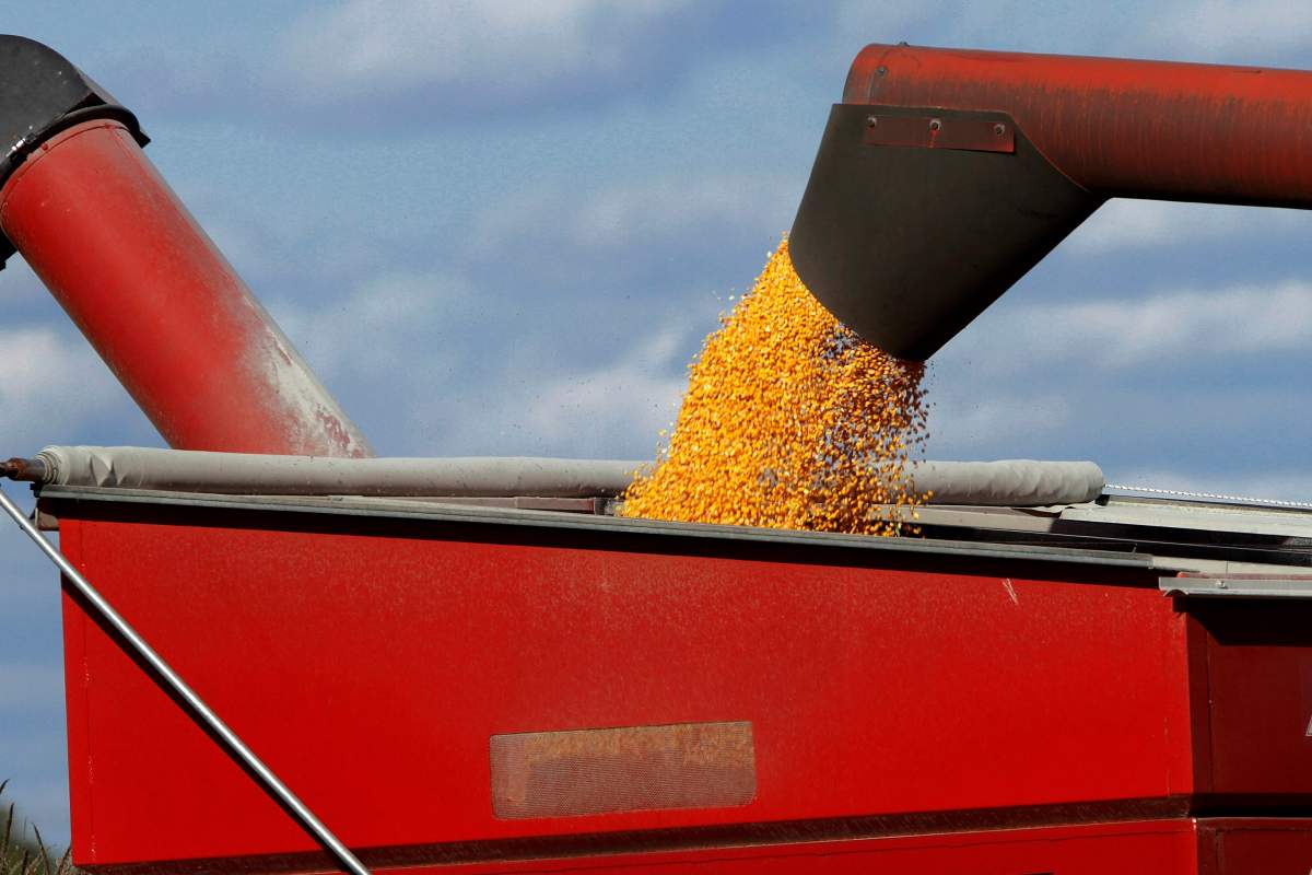 File photo: grain auger.