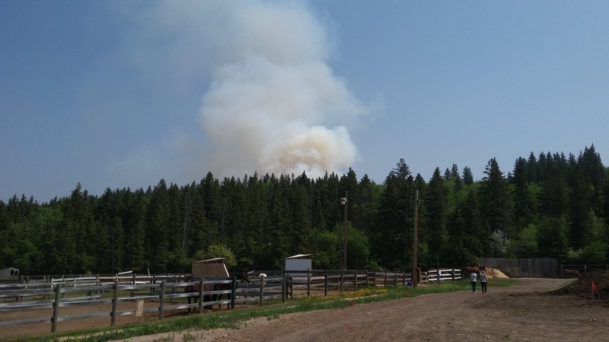 Smoke from a fire seen near the Whitemud Equine Centre on May 29, 2019.