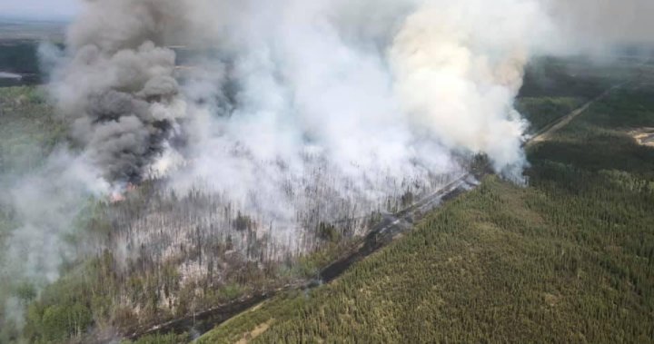 10,000 people forced out, 16 homes destroyed by Alberta wildfires ...