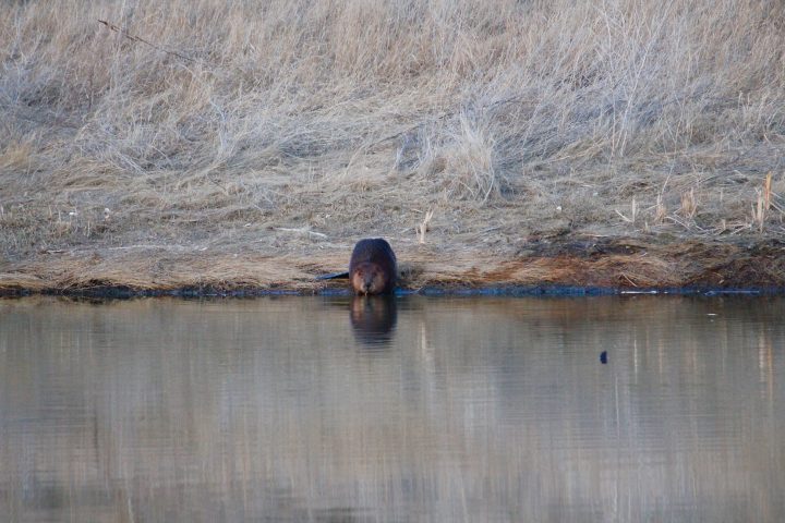 The May 19 Your Saskatchewan photo was taken by Sydney Ruest in Saskatoon.