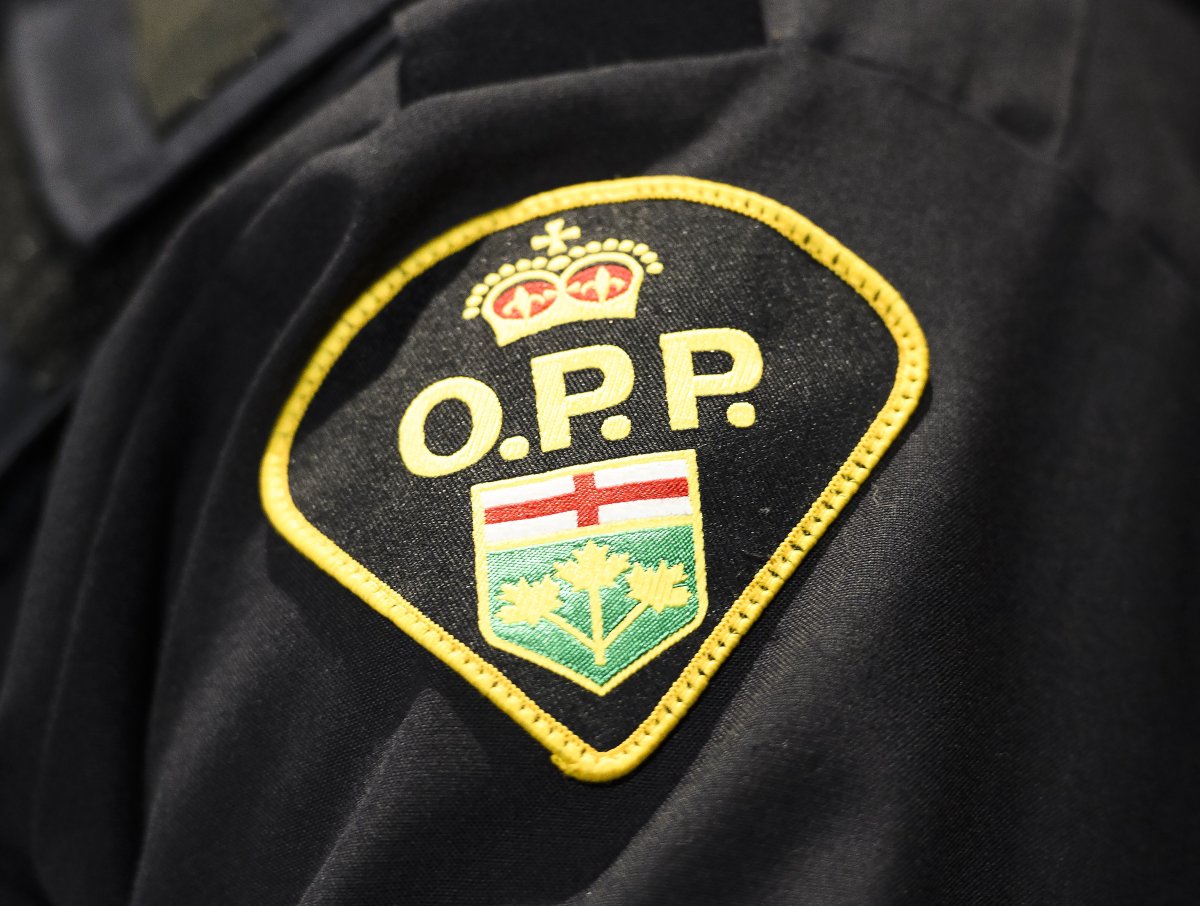 OPP say a driver struck another motorist, who was outside his vehicle at the time, before allegedly leaving the scene.