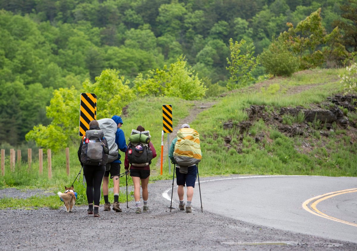 A group of thru hikers along the Appalachian trail, after a short break and snack at the Brushy Mountain Outpost along US 52, in Bastian, Virginia headed back to the trail on Monday, May 13, 2019. 