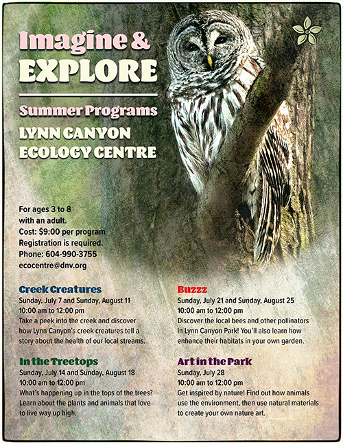 Imagine and Explore Summer Programs at the Ecology Centre - image