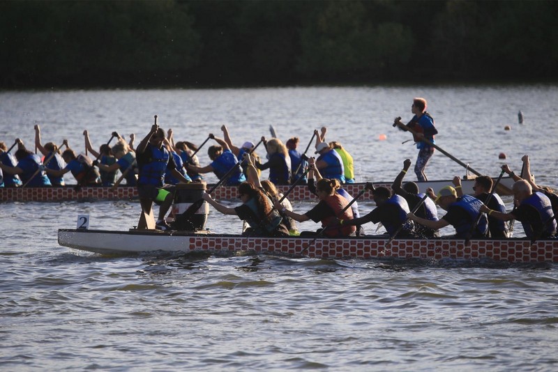 Regina's Dragon Boat Festival has been cancelled this year due to concerns over the coronavirus pandemic.