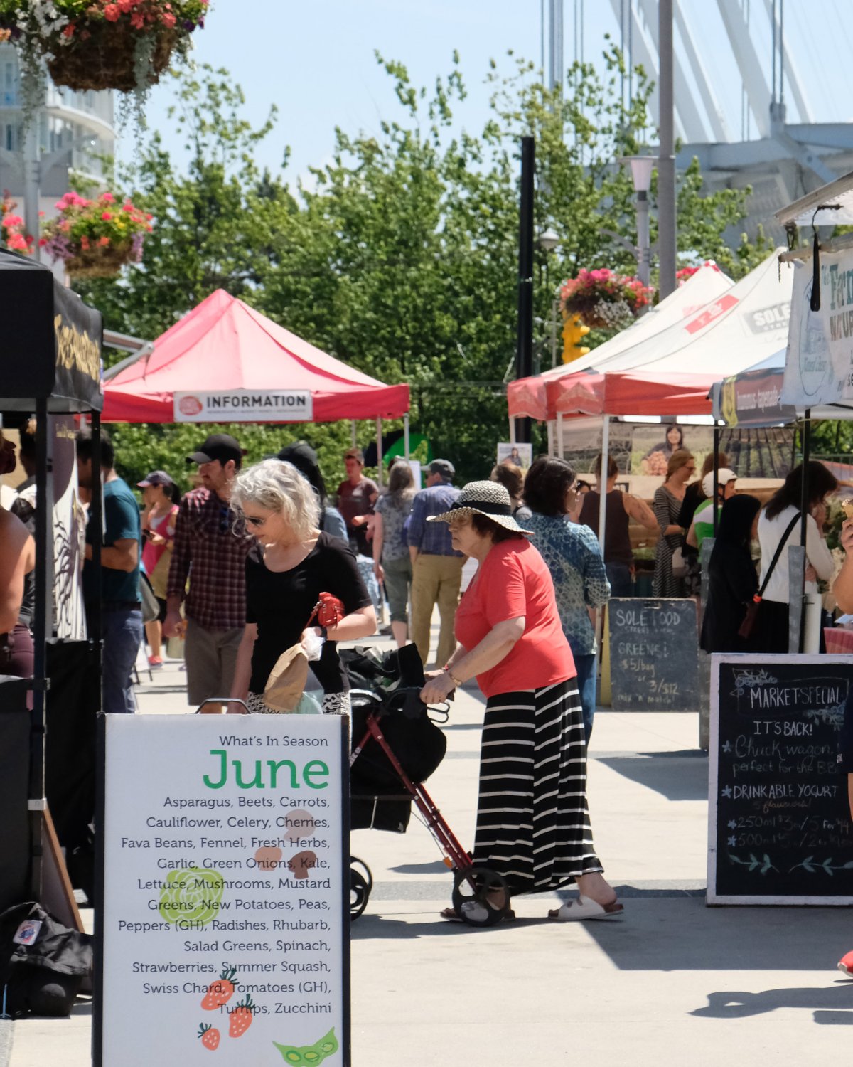 Downtown Farmers Markets - image