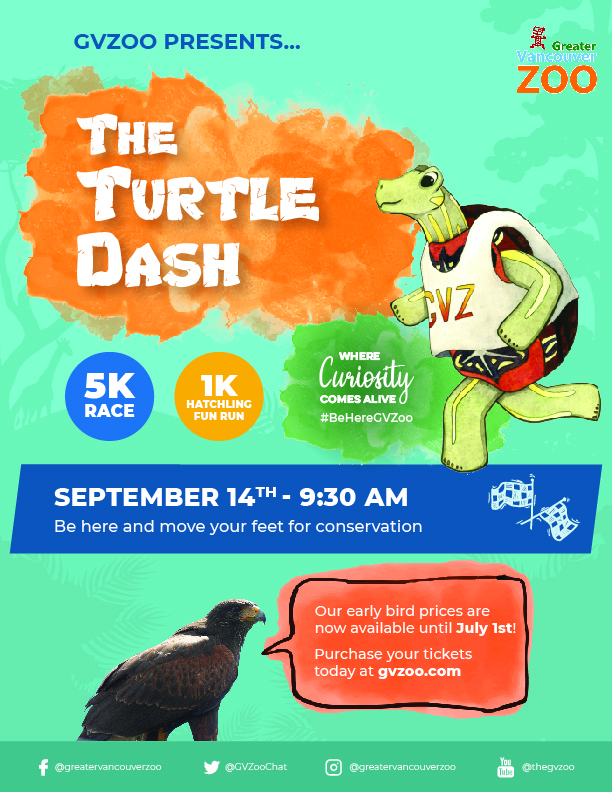 The Greater Vancouver Zoo Turtle Dash - image