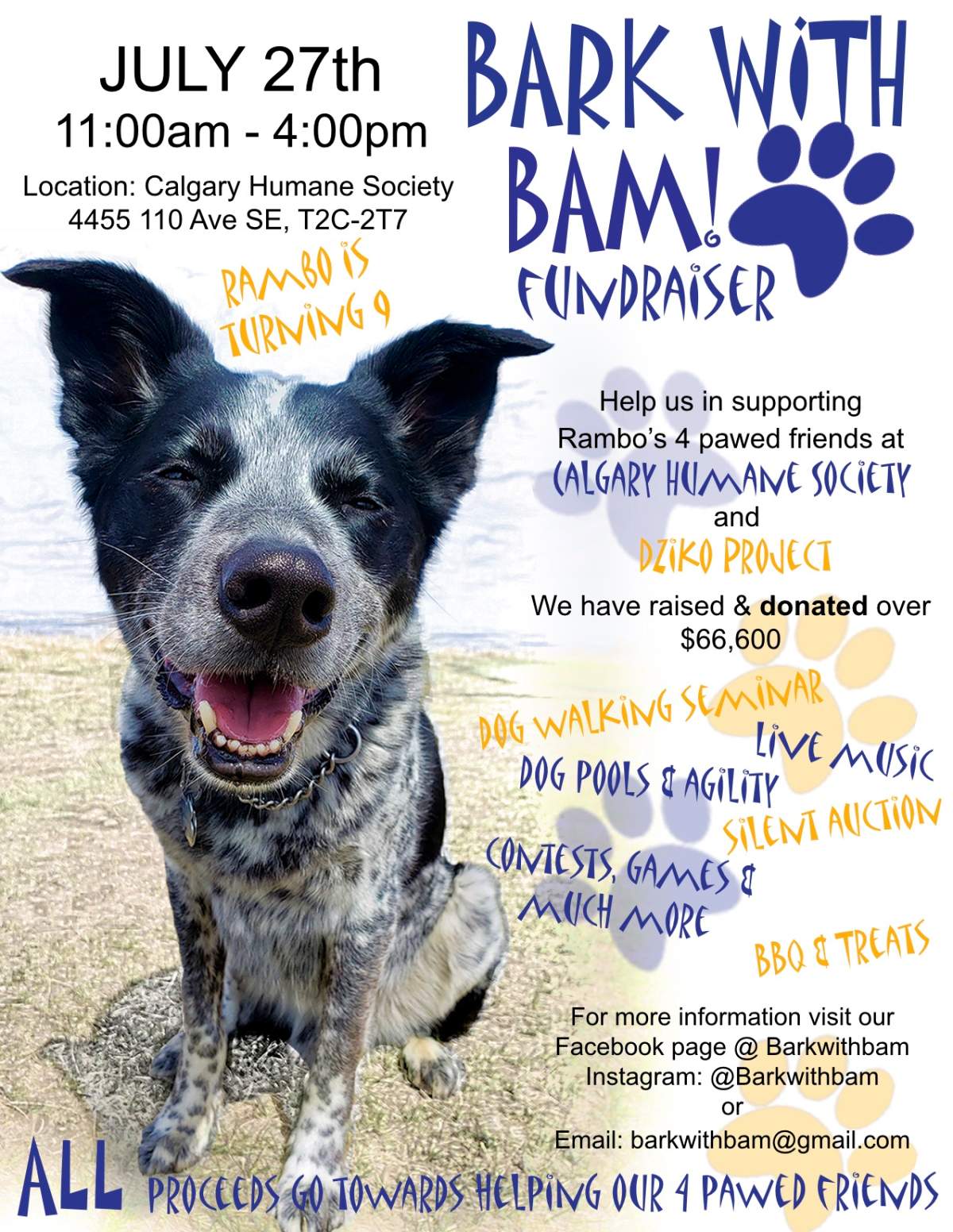 Bark With Bam - image