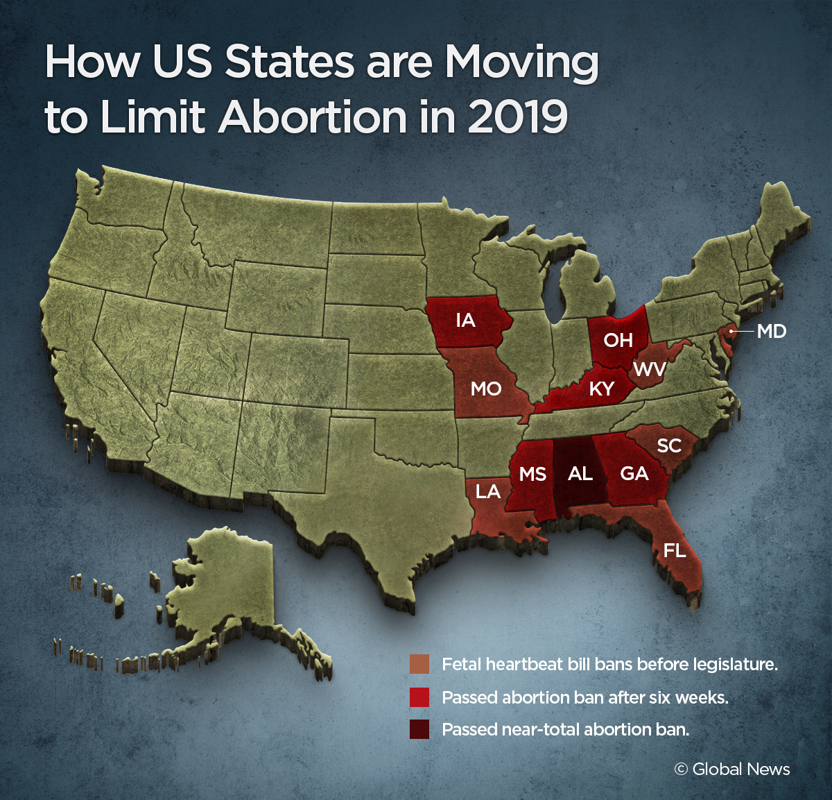 Here are the U.S. states pushing to ban abortions in 2019 - image