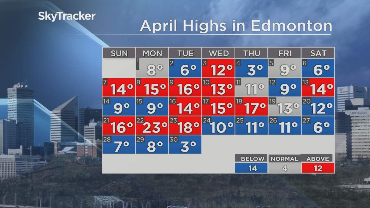 Mike Sobel, Global News