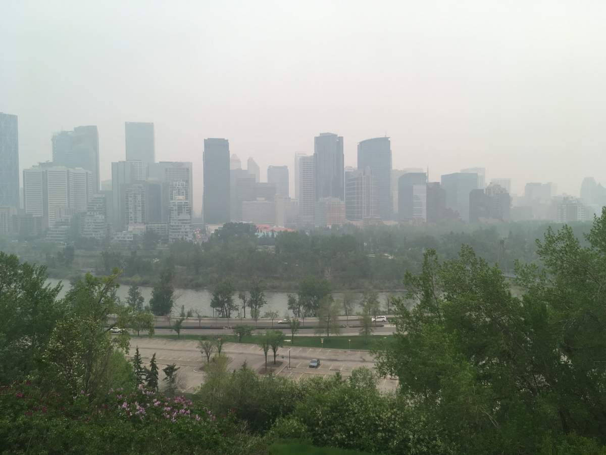 Photo taken by Barb De Vos in Calgary, Alta. on May 31, 2019 .