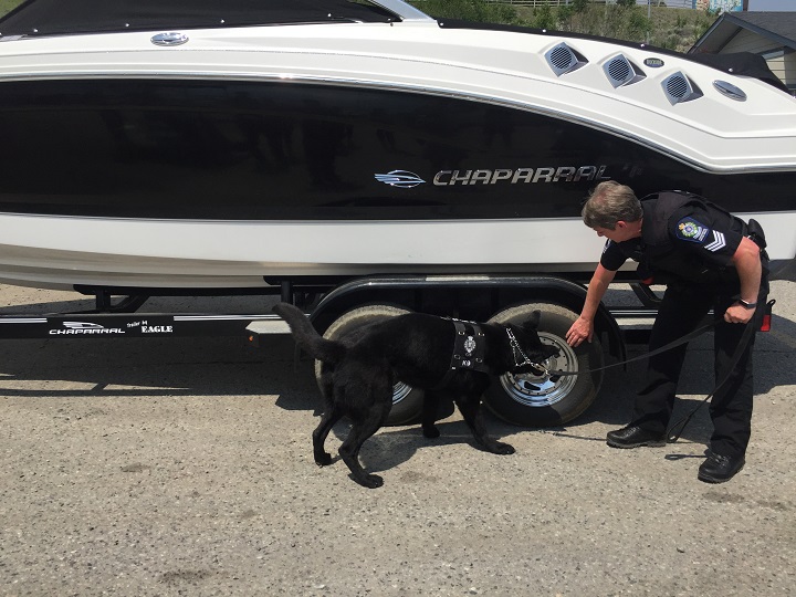 A German shepherd inspects a boat during a 2019 press conference regarding B.C.’s invasive mussel defence program.