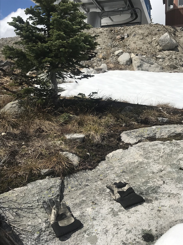 Another view of where the lost wedding ring was found.