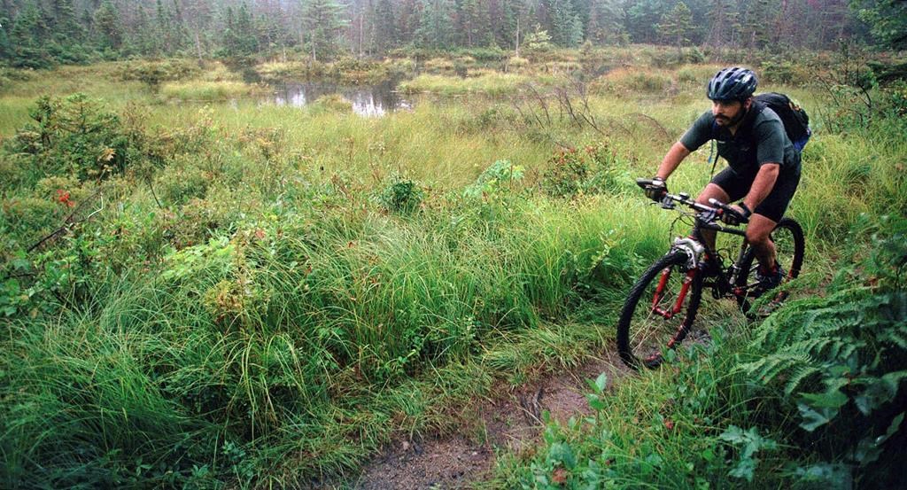 FILE - In this Aug. 26, 1999 file photo, a rider peddles his mountain bike through the White Mountain National Forest in Bartlett, N.H.