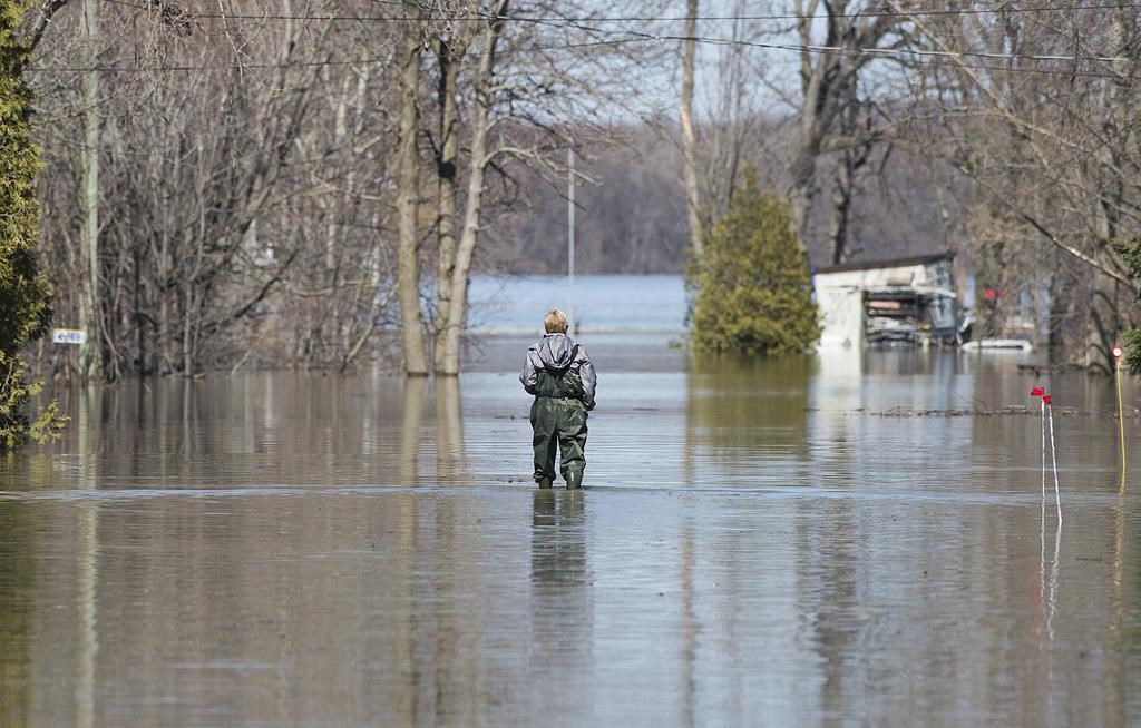 A woman wades through floodwaters on a residential street in the town of Rigaud, Que, west of Montreal, Monday, April 22, 2019.