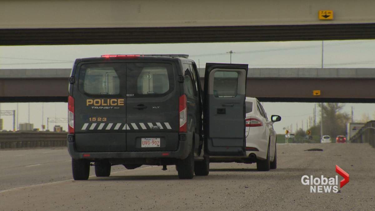 Calgary police arrested a man on Wednesday in relation to firearms believed to have been purchased fraudulently across Alberta. 