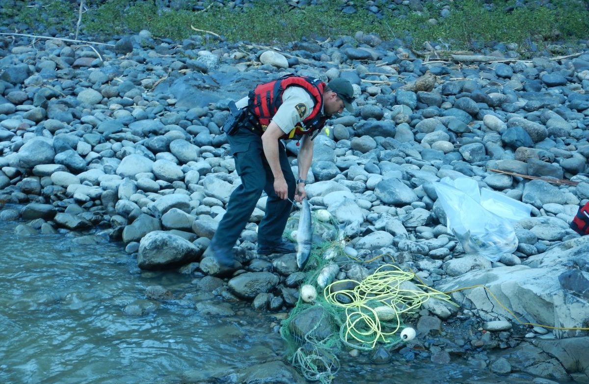A DFO Conservation and Protection fishery officer in an undated file photo. Officers are investigating illegal sales and bartering of fish in the Prince Rupert, B.C., area.