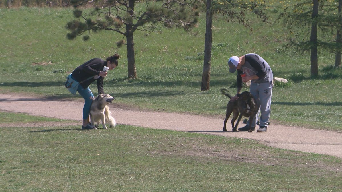 Hermitage Park off-leash dog area in Edmonton, May 17, 2019. Nineteen fenced off-leash areas will open in mid-May, according to the city.