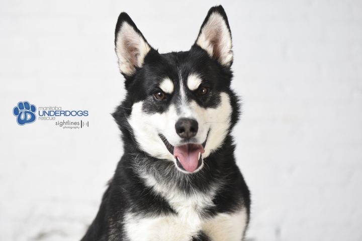 Magoo is looking for her new home.