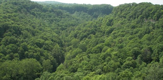 The Hamilton Conservation Authority is reminding visitors of some safety rules following a fatal fall at Dundas Peak.