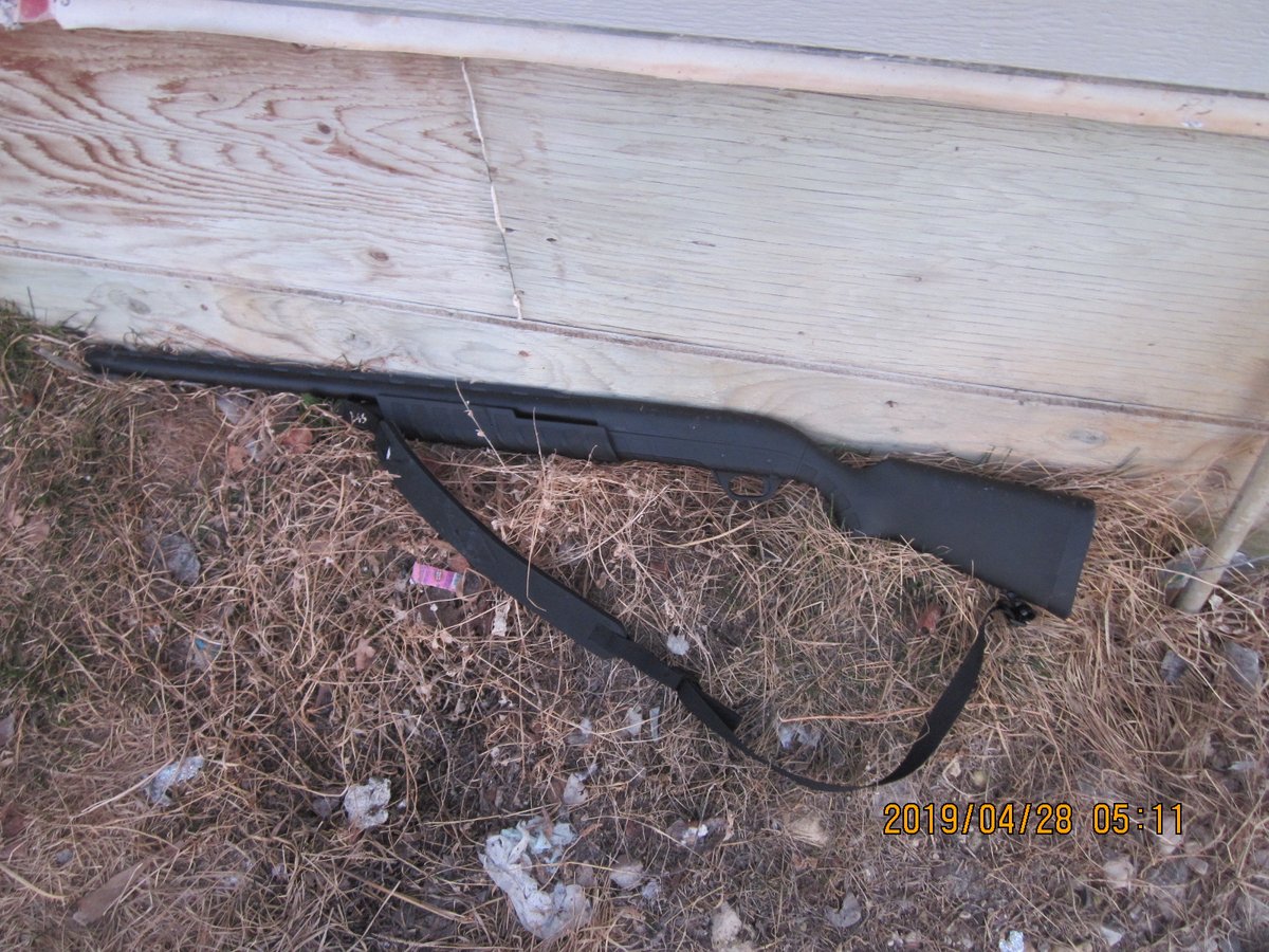 Grand Rapids RCMP bust man with stolen gun - image