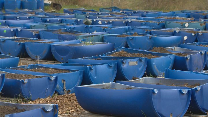 The Askîy Project has more than 450 tubs to use this growing season.