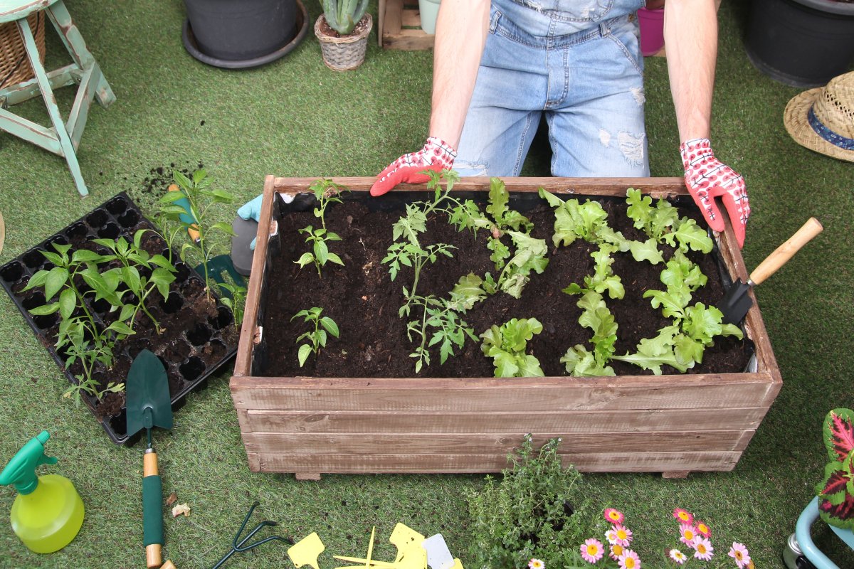 5 ways to grow food in the city - image