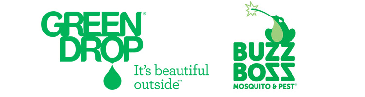 June 1 – Green Drop/Buzz Boss - image