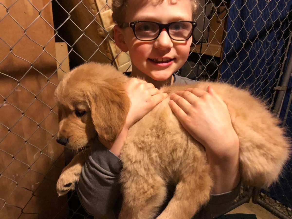 Emery Spanik holds his new puppy Hazel just a few months after losing Jacob. Hazel isn’t a trained service dog, but the family hopes her presence will help.