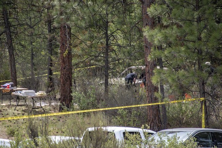 Police and other personnel investigate the scene where human remains were found in a burned truck.