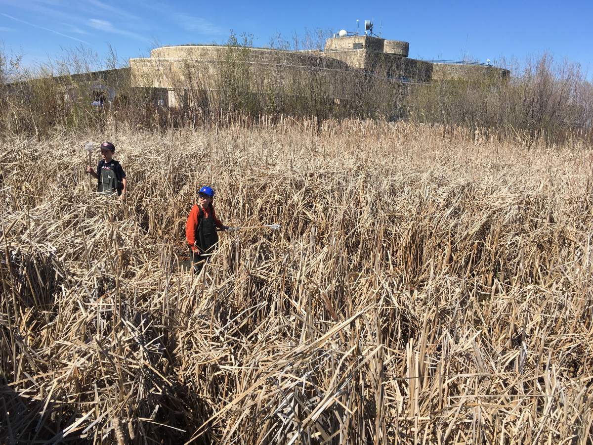 Two children walk through the marsh at Oak Hammock Interpretive Centre