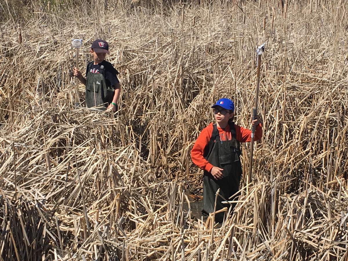 Learning about biodiversity at Oak Hammock Interpretive Centre.