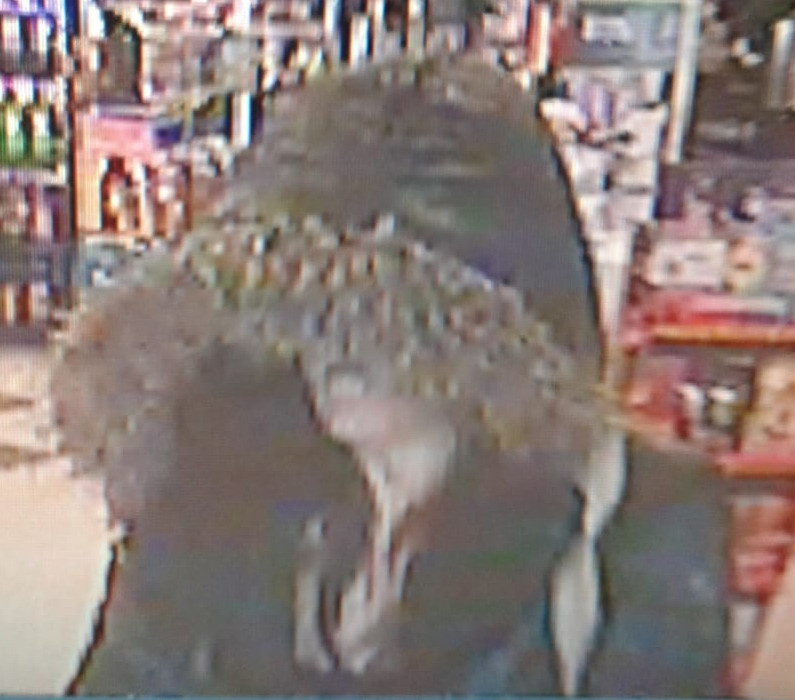 A photo of the woman who allegedly robbed a convenience store in Moncton on May 26, 2019.
