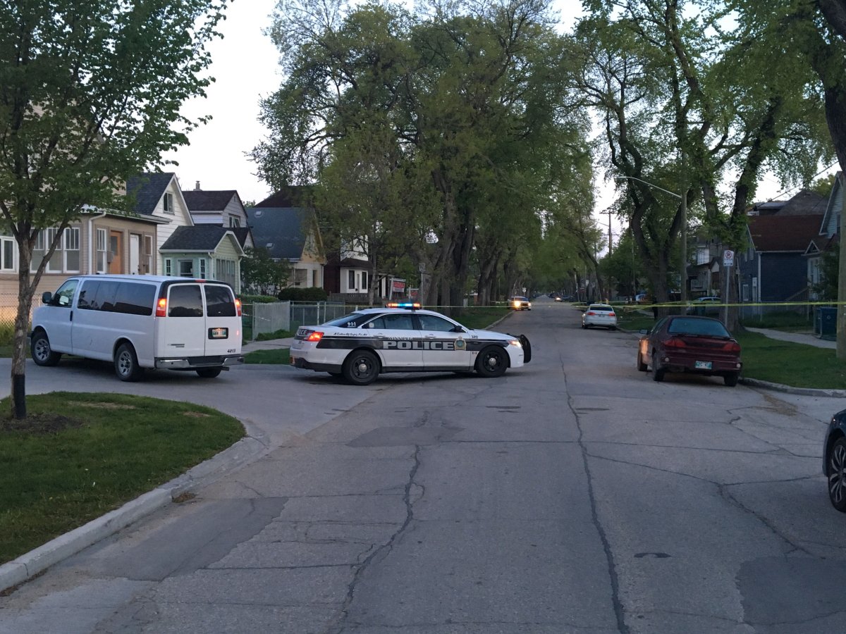 Winnipeg police on scene on Alfred Avenue.