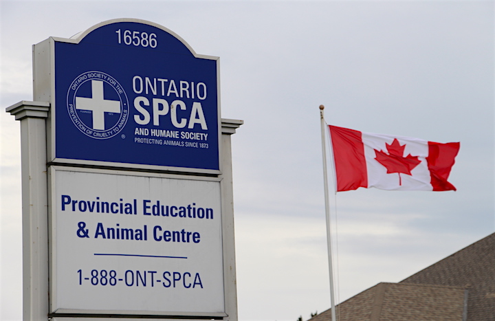 The headquarters for the Ontario Society for the Prevention of Cruelty to Animals in Whitchurch-Stouffville. 
