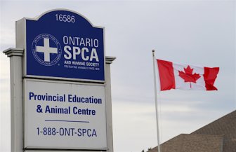 Ontario Society for the Prevention of Cruelty to Animals | News, Videos &  Articles